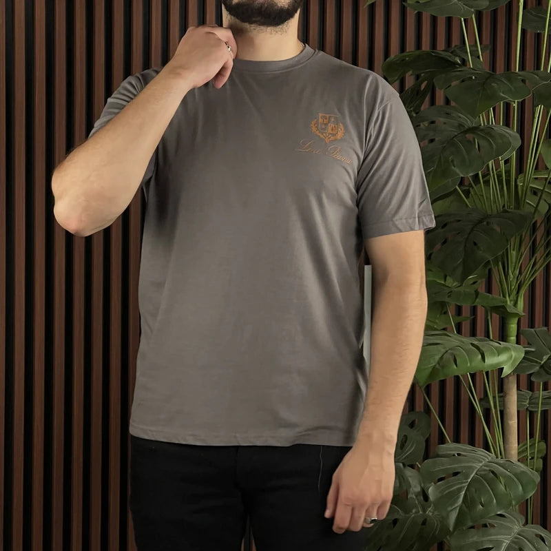 T-Shirt NEW LORO PIANA COTON ( PROMO )